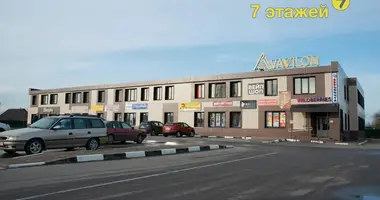 Commercial property 1 550 m² in Lyepyel, Belarus