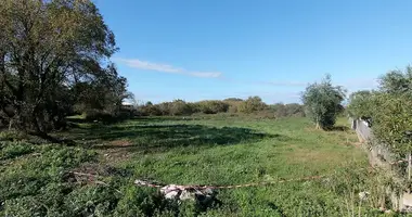 Terrain dans Episkepsi, Grèce