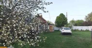 House in Dubrauski sielski Saviet, Belarus