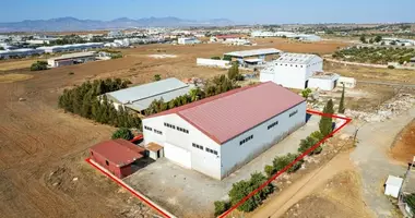 Commercial property 1 125 m² in Kokkinotrimithia, Cyprus
