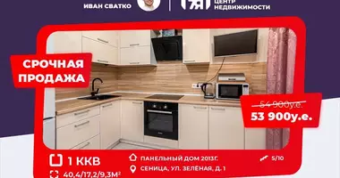 1 room apartment in Sienica, Belarus