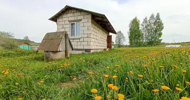 Dom w Januskavicki siel ski Saviet, Białoruś