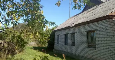 Dom w Pleszczenice, Białoruś