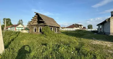 House in Babinicy, Belarus