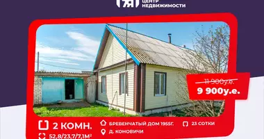 House in Liebiedzieuski sielski Saviet, Belarus