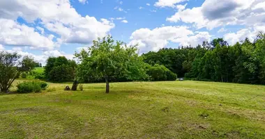 Plot of land in Utenos rajono savivaldybe, Lithuania