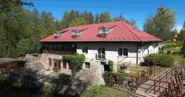 Gewerbefläche 480 m² in Druscheniken, Litauen