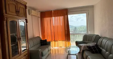 2 bedroom apartment in Zankovici, Montenegro