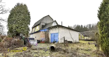Дом в Лошанский сельский Совет, Беларусь