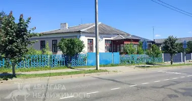 Haus in Stoubzy, Belarus