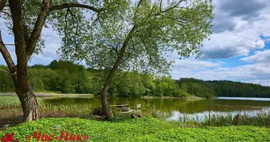 Działka w Ozyaritska Slabadski rural council, Białoruś