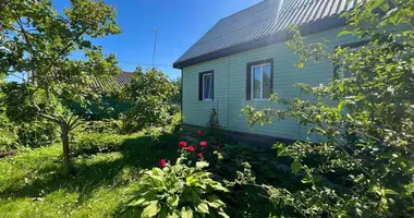House in Varkavicy, Belarus