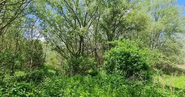 Plot of land in Annavoelgy, Hungary