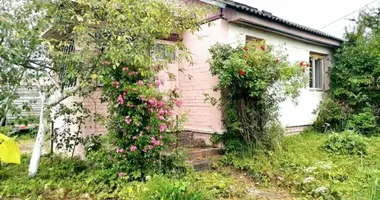 House in Daskauski sielski Saviet, Belarus