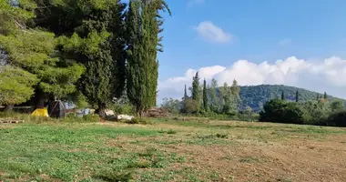 Terrain dans Kokkini, Grèce