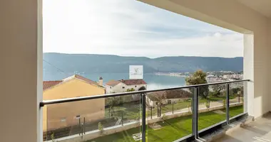 1 bedroom apartment in Topla, Montenegro