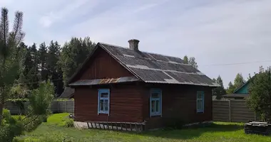 Dom w Liasnianski sielski Saviet, Białoruś