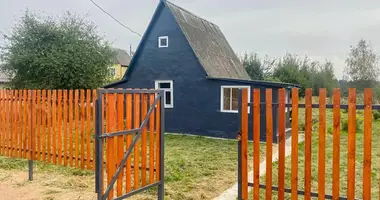 House in Starobinski sielski Saviet, Belarus