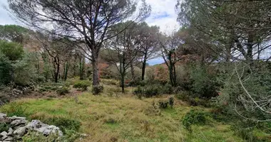 Plot of land in Zagora, Montenegro