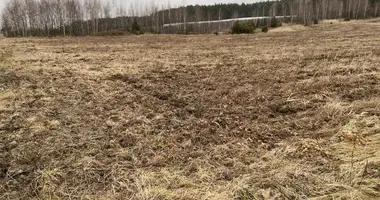 Parcela en Promna Kolonia, Polonia
