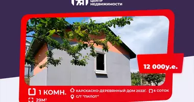 Haus 1 Zimmer in Piatryskauski sielski Saviet, Weißrussland