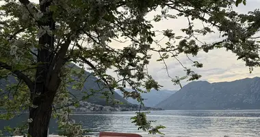 Studio in Kotor, Montenegro