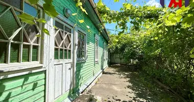 Maison dans Starobin, Biélorussie
