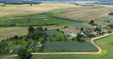 Dom w Zodzinski sielski Saviet, Białoruś