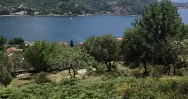 Parcela en durici, Montenegro