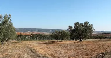 Plot of land in Petralona, Greece