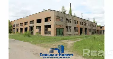 Zakład produkcyjny 15 000 m² w Lebiedziew, Białoruś