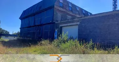 Коммерческое помещение 2 527 м² в Несвиж, Беларусь