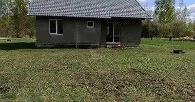 Dom w Rudzenski selski Savet, Białoruś
