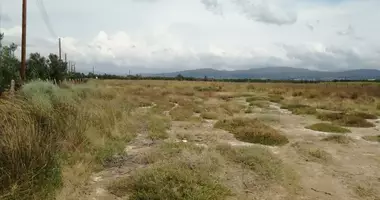 Plot of land in Vatopedi, Greece