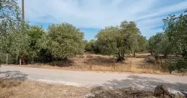 Parcela en Skala Kallirachis, Grecia