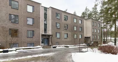 Wohnung in Aeaenekoski, Finnland