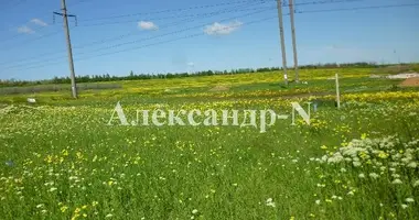 Plot of land in Sievierodonetsk, Ukraine