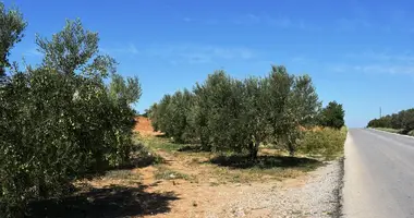 Grundstück in Eleochoria, Griechenland