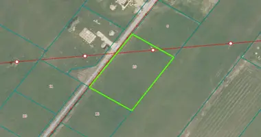 Plot of land in Rimkai, Lithuania