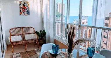 1 bedroom apartment in Benidorm, Spain