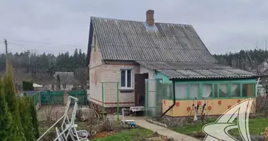 Haus in Matykalski sielski Saviet, Weißrussland