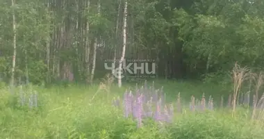 Terrain dans gorodskoy okrug Bor, Fédération de Russie