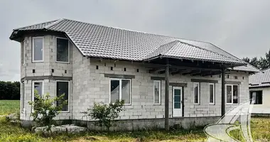 House in Novyja Lyscycy, Belarus