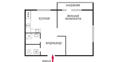 Appartement 1 chambre dans Saint-Pétersbourg, Russie