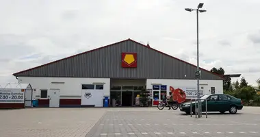 Propriété commerciale 1 043 m² dans Hecklingen, Allemagne