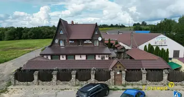 Restaurant 421 m² in Papiarnianski sielski Saviet, Belarus