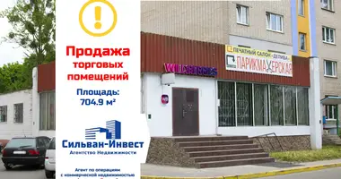 Commercial property 705 m² in Salihorsk, Belarus