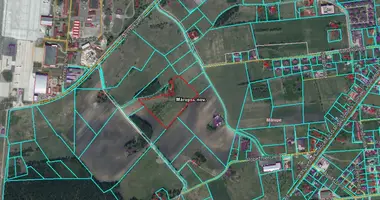Investment in Navapolatsk, Belarus