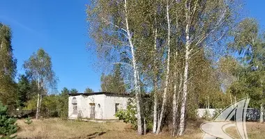 Haus in Malyja Radvanicy, Weißrussland