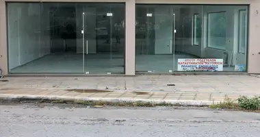 Commercial property 250 m² in Pissonas, Greece